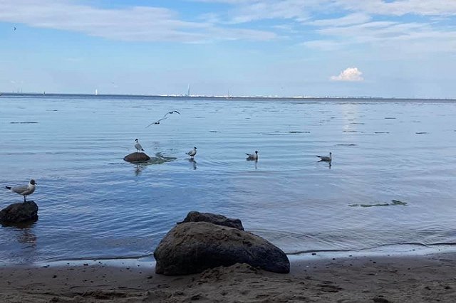 Жестко раскритиковавшая Екатеринбург за грязь москвичка поделилась впечатлениями от Петербурга