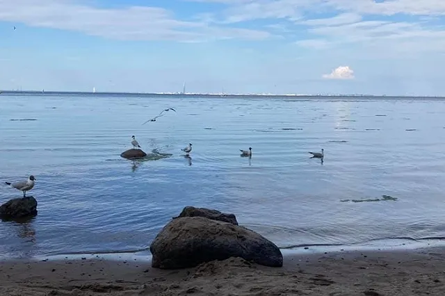 Жестко раскритиковавшая Екатеринбург за грязь москвичка поделилась впечатлениями от Петербурга
