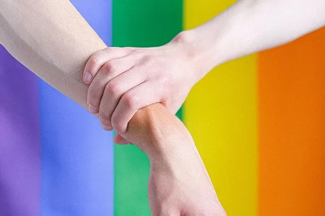 Милонов предложил стерилизовать геев и помещать их в спецприюты