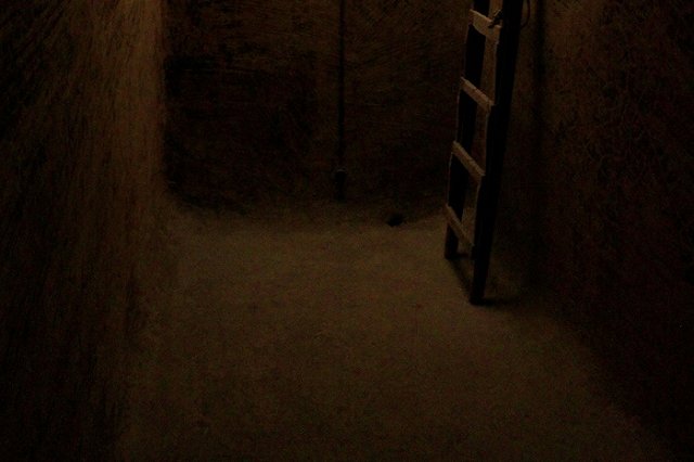 В Екатеринбурге два человека задохнулись в овощной яме