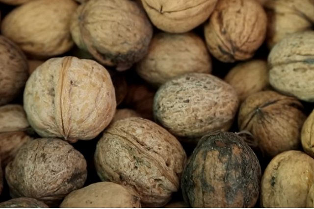 Уральские таможенники вернули на «родину» более 40 тонн грецких орехов