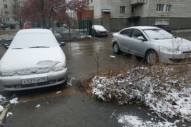 Российский триколор станет обязательным для автомобильных госномеров