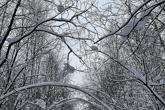 Синоптики предупредили о морозном начале марта в Екатеринбурге