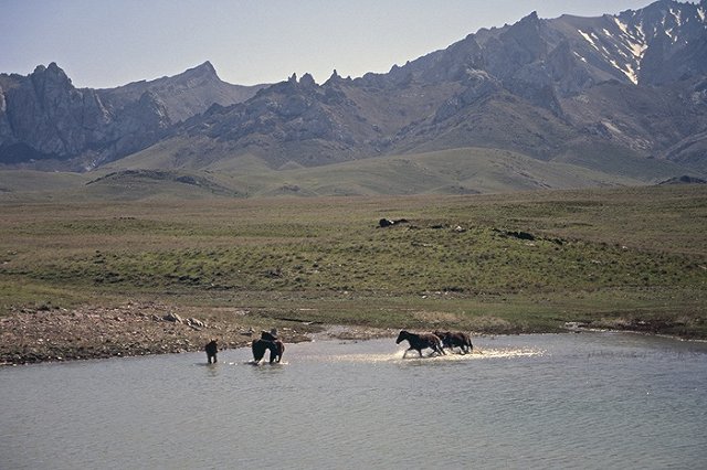 Российские власти отдали Казахстану озеро в Сибири