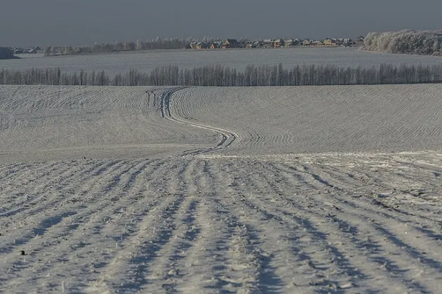 В Красноярском крае продают целую деревню вместе с местными жителями