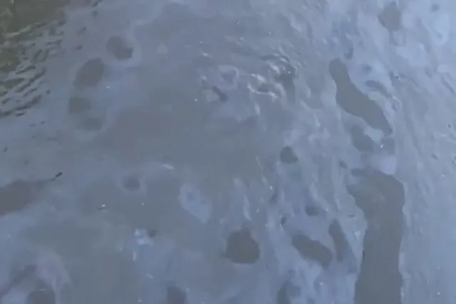 Екатеринбурженка пожаловалась на следы нефтепродуктов в Исети