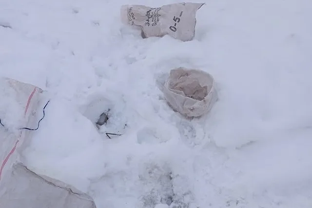 Под Екатеринбургом на трассе оставили мешок с кошками — фото