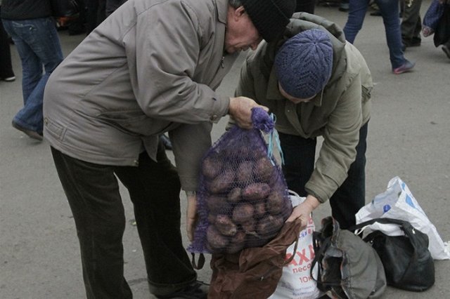 Свердловские фермеры приспосабливают коровники под хранение картошки