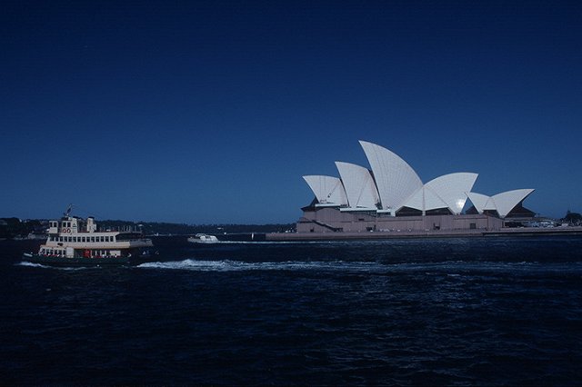 Австралия стала мировым лидером по притоку миллионеров