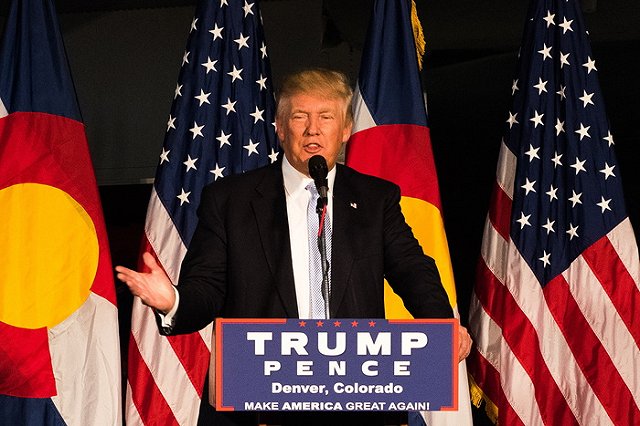 В Великобритании нашли похожее на Трампа дерево