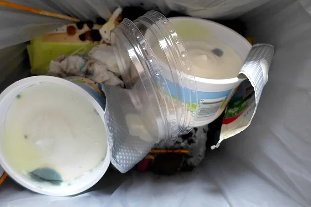 Британская пара угостит гостей на свадьбе блюдами из продуктов с помойки