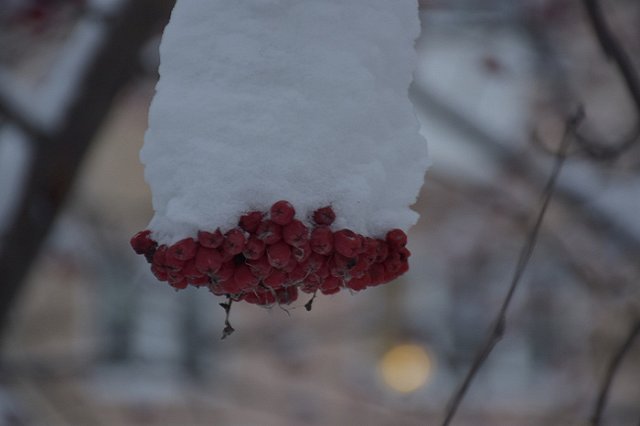 Автоледи отсудила почти 200 тыс. у «Промавтоматики» за разбитый автомобиль