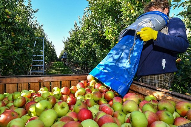 Три года спустя: итоги продуктового эмбарго России