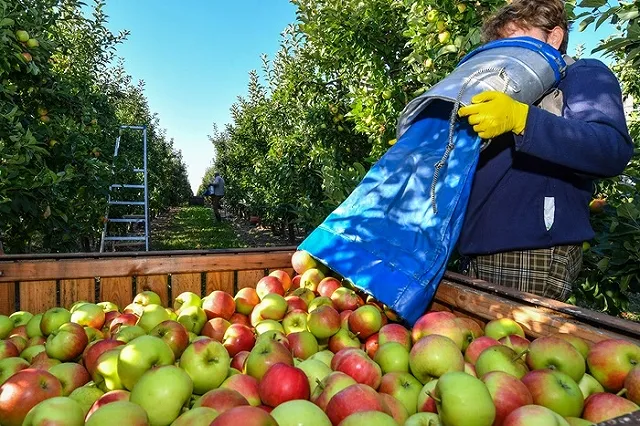 Три года спустя: итоги продуктового эмбарго России