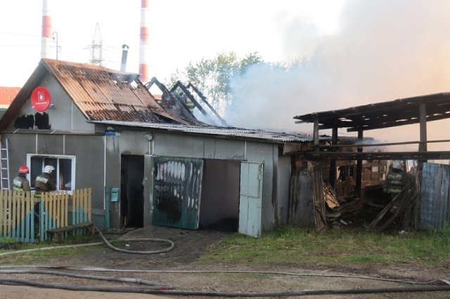 Собака спасла многодетную семью от гибели на пожаре