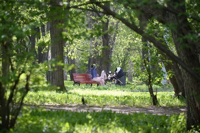 Вице-мэр Екатеринбурга ответил на критику паркового благоустройства