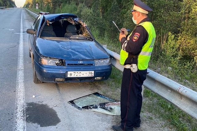 Четверо в больнице: на свердловской трассе отечественная легковушка насмерть сбила лося