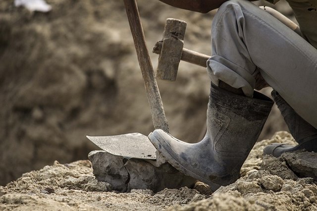 Ученые признали пыткой рабочий день с 9 утра