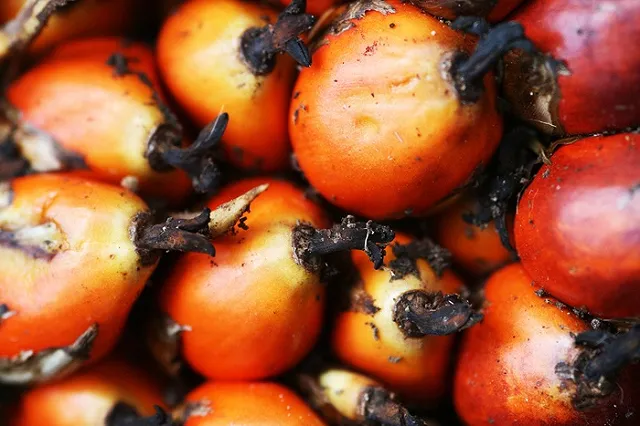 Маркин назвал пальмовое масло ядом замедленного действия