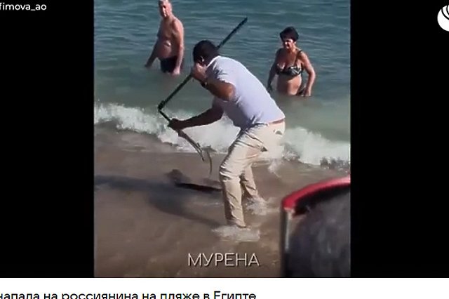 Огромная мурена напала на россиянина на пляже в Египте