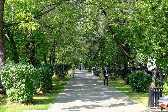 Пользователи Яндекса подготовили карту Екатеринбурга к ЧМ-2018