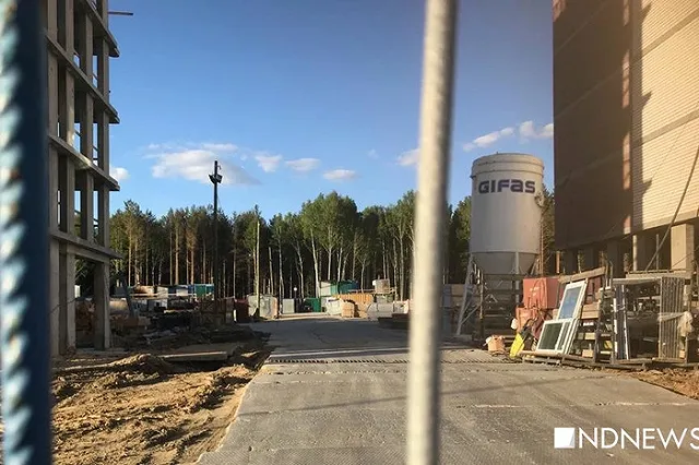 Суд запретил вырубку деревьев в Березовой роще