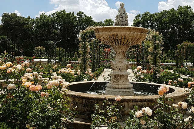 Общественник: «Проект Дендропарка, представленный мэрией горожанам, был украден из Интернета»