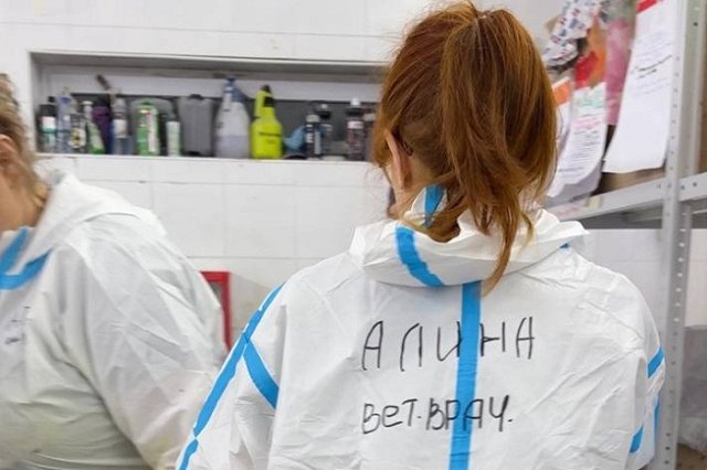 Волонтёры-ветеринары из Екатеринбурга спасают жизнь птиц в Анапе