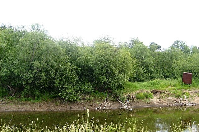 Пятилетний мальчик утонул на Урале