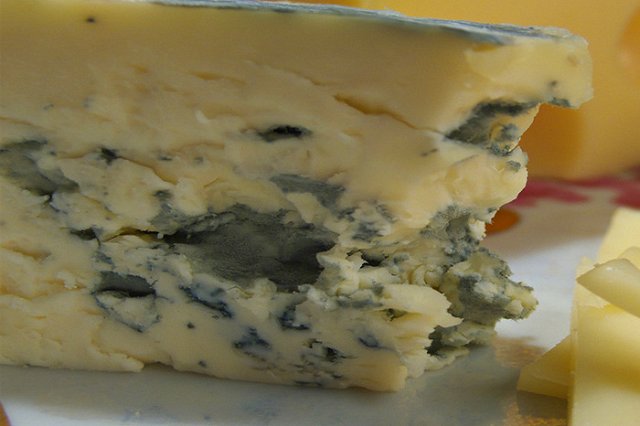 Таможня заявила об отсутствии запрета на заказ «санкционки» через интернет