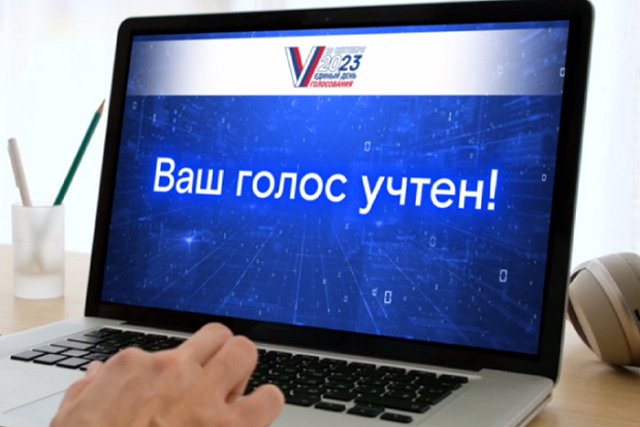В Свердлизбиркоме назвали число избирателей, выбравших ДЭГ