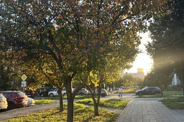 Синоптики рассказали, насколько жарким будет лето 2025-ого года в Екатеринбурге