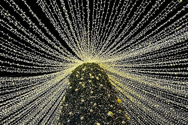 В Екатеринбурге может появиться гигантский небоскрёб в виде ёлки