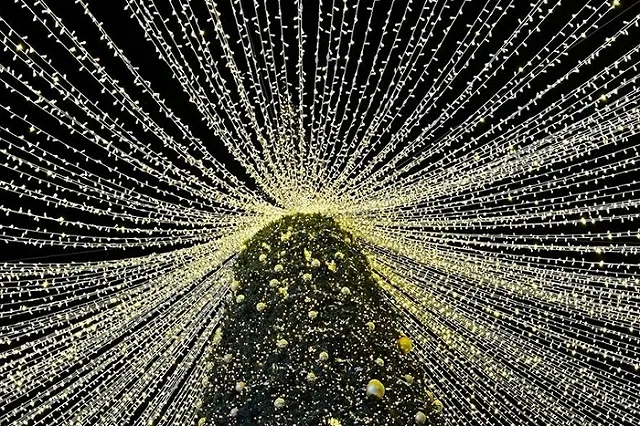 В Екатеринбурге может появиться гигантский небоскрёб в виде ёлки