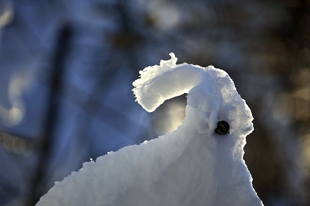 Uralweb продляет прием работ на фотоконкурс «Солнышко весеннее»!