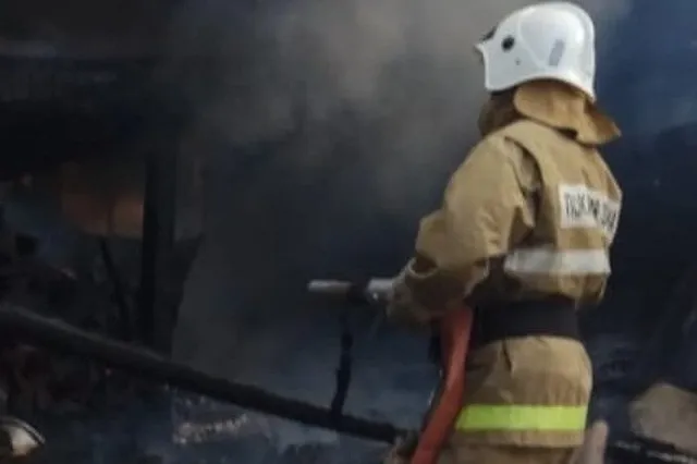 Путин наградил погибшего свердловского спасателя