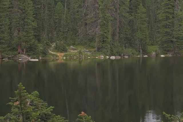 Подросток погиб при нападении медведя на туристов в красноярском нацпарке