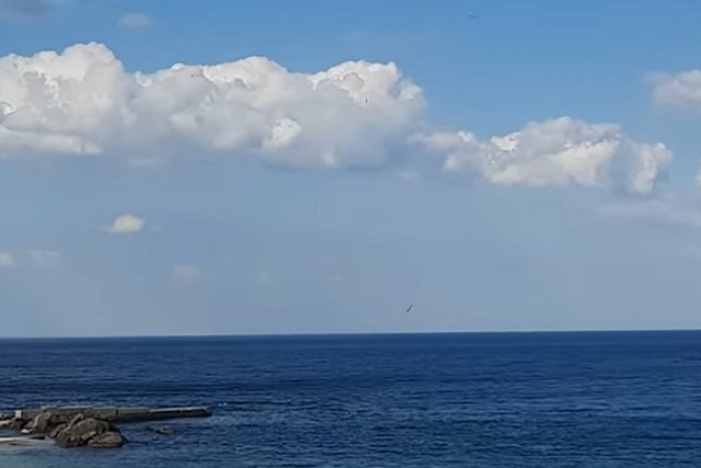 МИД настоял на синхронном начале экспорта зерна из России и с Украины