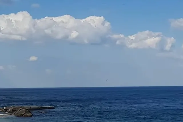 МИД настоял на синхронном начале экспорта зерна из России и с Украины