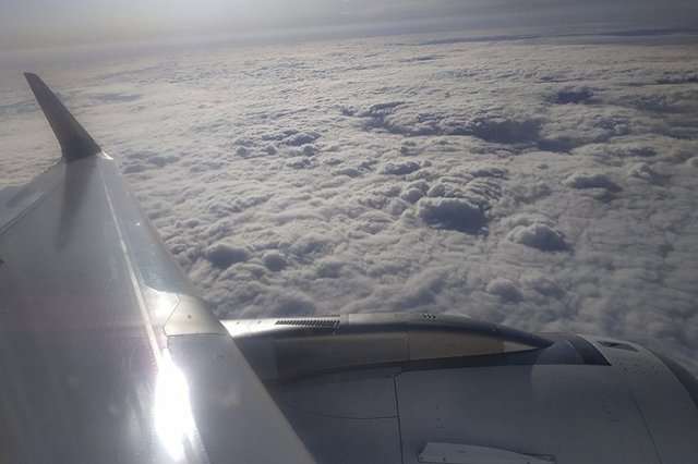 В «Уральских авиалиниях» рассказали, что произошло с пассажиркой на рейсе до Дубая, который вернулся в Кольцово