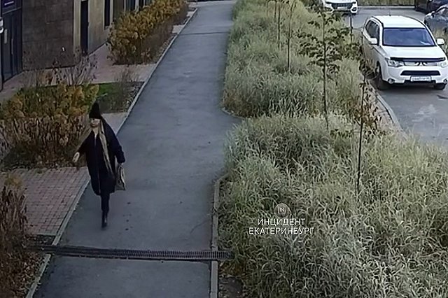 На Эльмаше возле ЖК «Изумрудный Бор» рассыпали собачью отраву