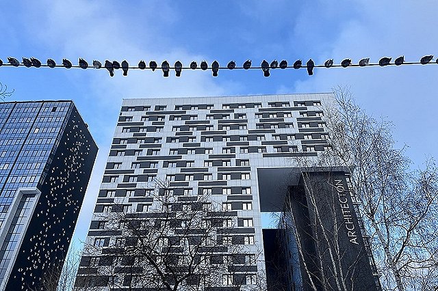 Синоптики рассказали, когда в Екатеринбурге потеплеет до +9 °С