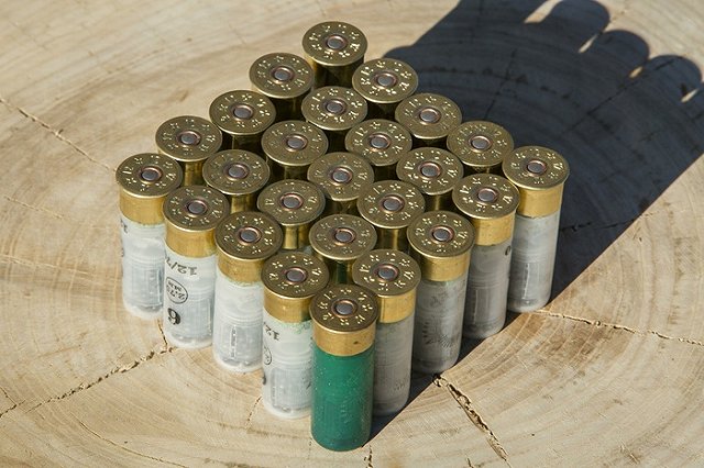 Ранившему сотрудников детского лагеря «Дружба» предъявлено обвинение