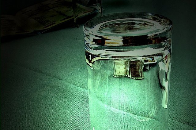 Россияне начали получать по почте стаканы вместо заказанных айфонов