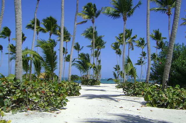 Любовник погибшей в Доминикане голой россиянки рассказал о ее работе