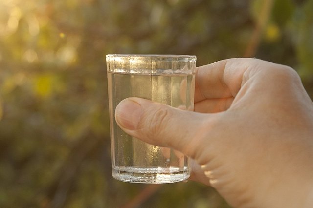 Татьяна Мерзлякова не поддержала возврат детей пьющей семье украинских беженцев