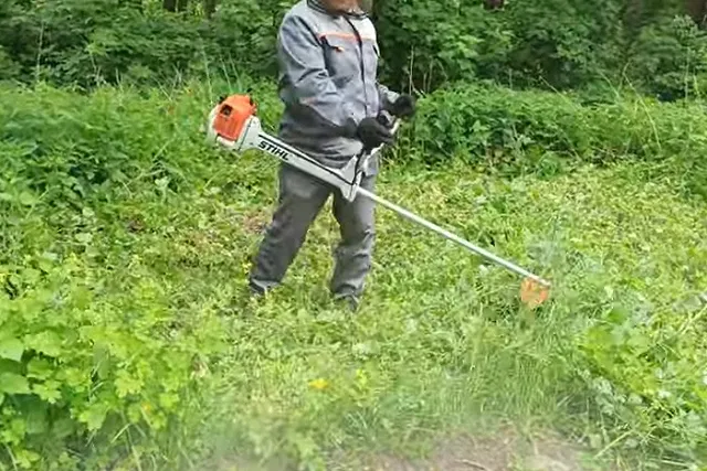 Екатеринбуржцы попросили не стричь газоны «налысо»