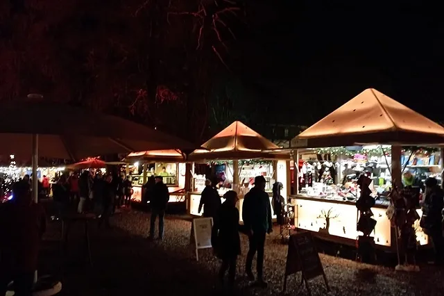 Немецкая таможня будет конфисковывать рождественские подарки из России