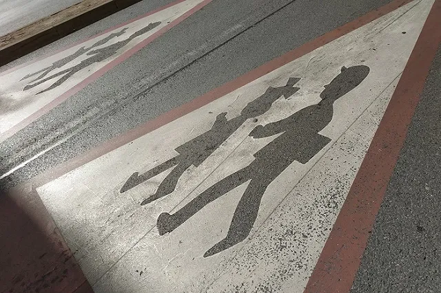 Екатеринбурженка поделилась опытом школьного дистанта в пражской школе