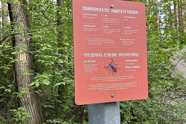 Клещи начали активно кусать свердловчан